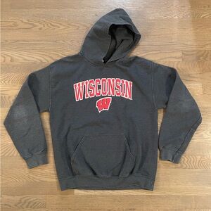 Wisconsin Badgers/University of Wisconsin Hoodie